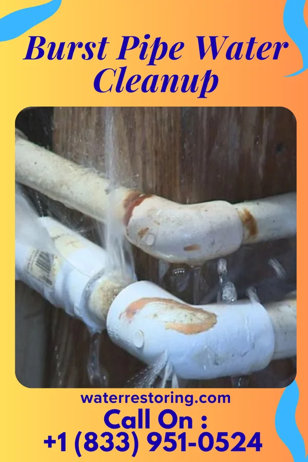 Burst Pipe Water Cleanup in Minnehaha, WA