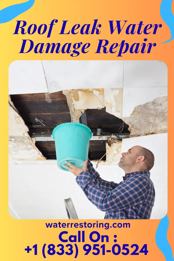 Roof Leak Water Damage Repair in Minnehaha, WA